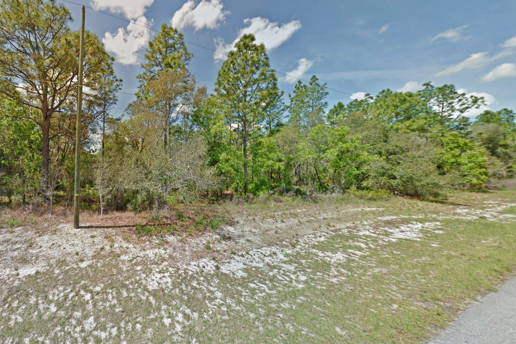 0.24 Acre Ocala, Marion County, FL (Power & Paved Road)