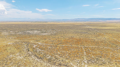 19.24 Acres Lancaster, Los Angeles County, CA