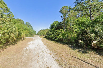 0.25 Acre Lehigh Acres, Lee County, FL (Power & Paved Road)