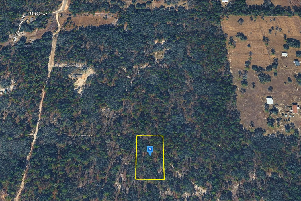 1.25 Acres Morriston, Levy County, FL