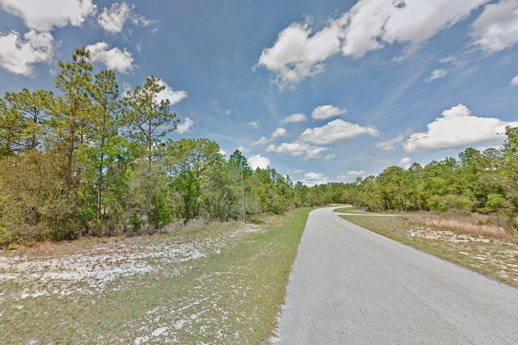 0.24 Acre Ocala, Marion County, FL (Power & Paved Road)