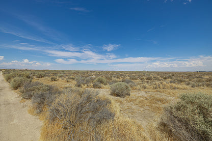 19.24 Acres Lancaster, Los Angeles County, CA
