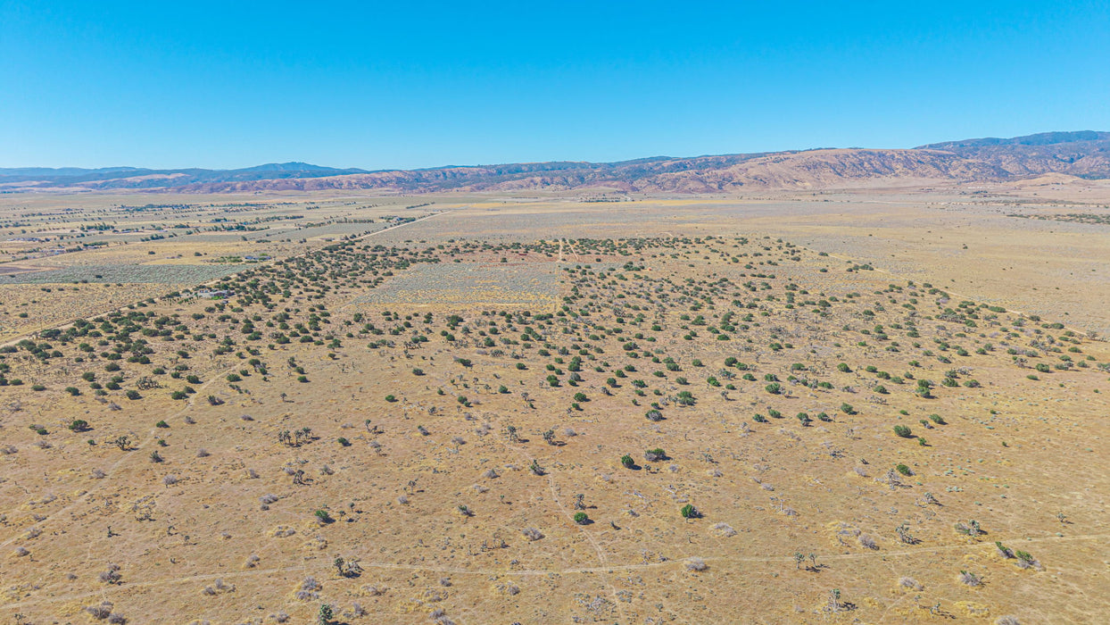 36.04 Acres Lancaster, Los Angeles County, CA