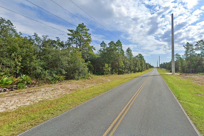 0.24 Acre Bronson, Levy County, FL (Power & Paved Road)