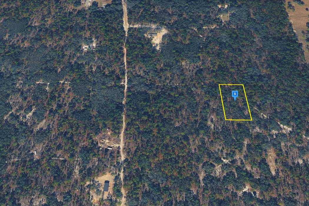 1.25 Acres Morriston, Levy County, FL
