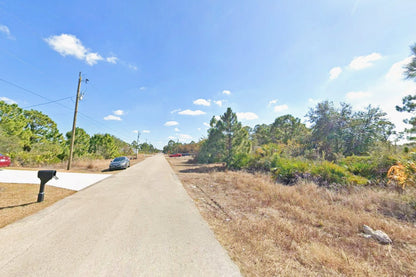 0.25 Acre Lehigh Acres, Lee County, FL (Power & Paved Road)