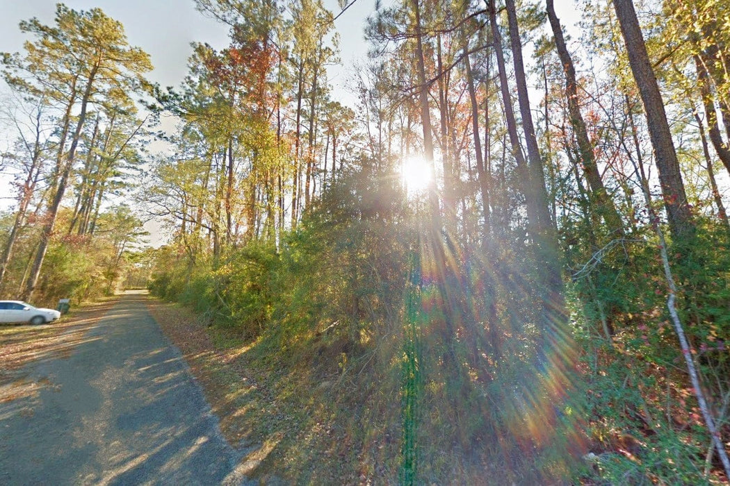 0.29 Acre Vidor, Orange County, TX (Paved Road)