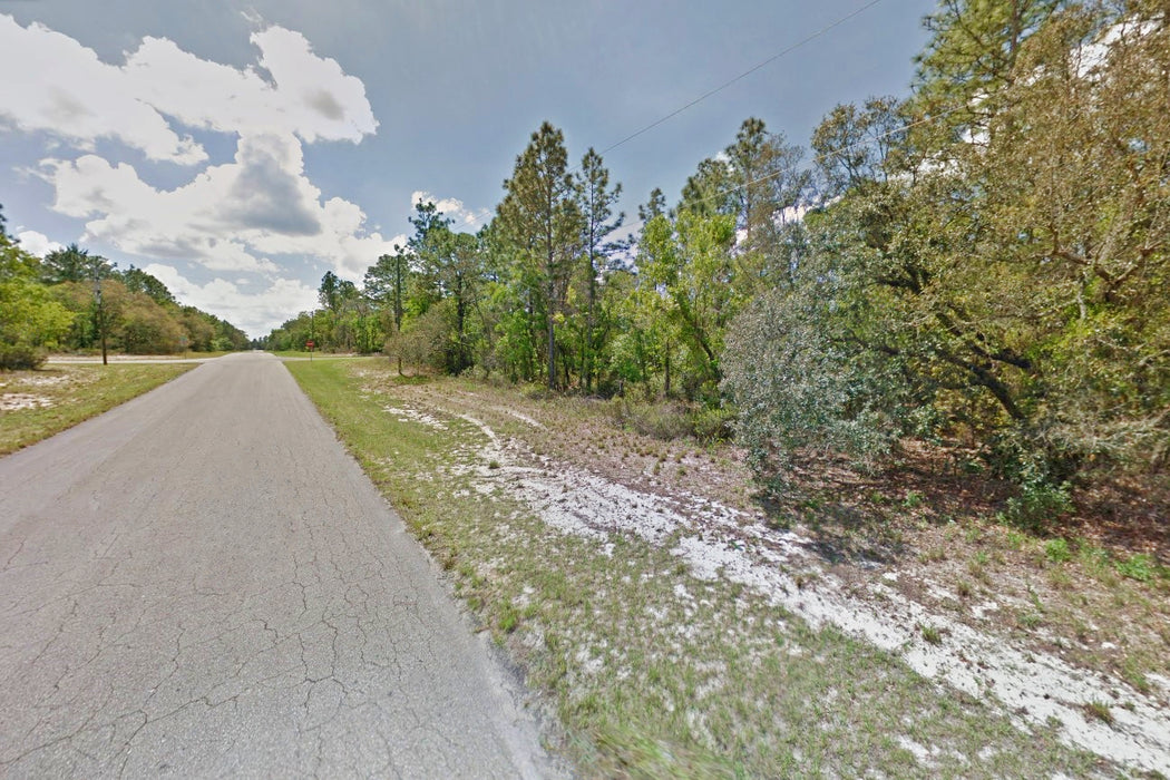 0.24 Acre Ocala, Marion County, FL (Power & Paved Road)