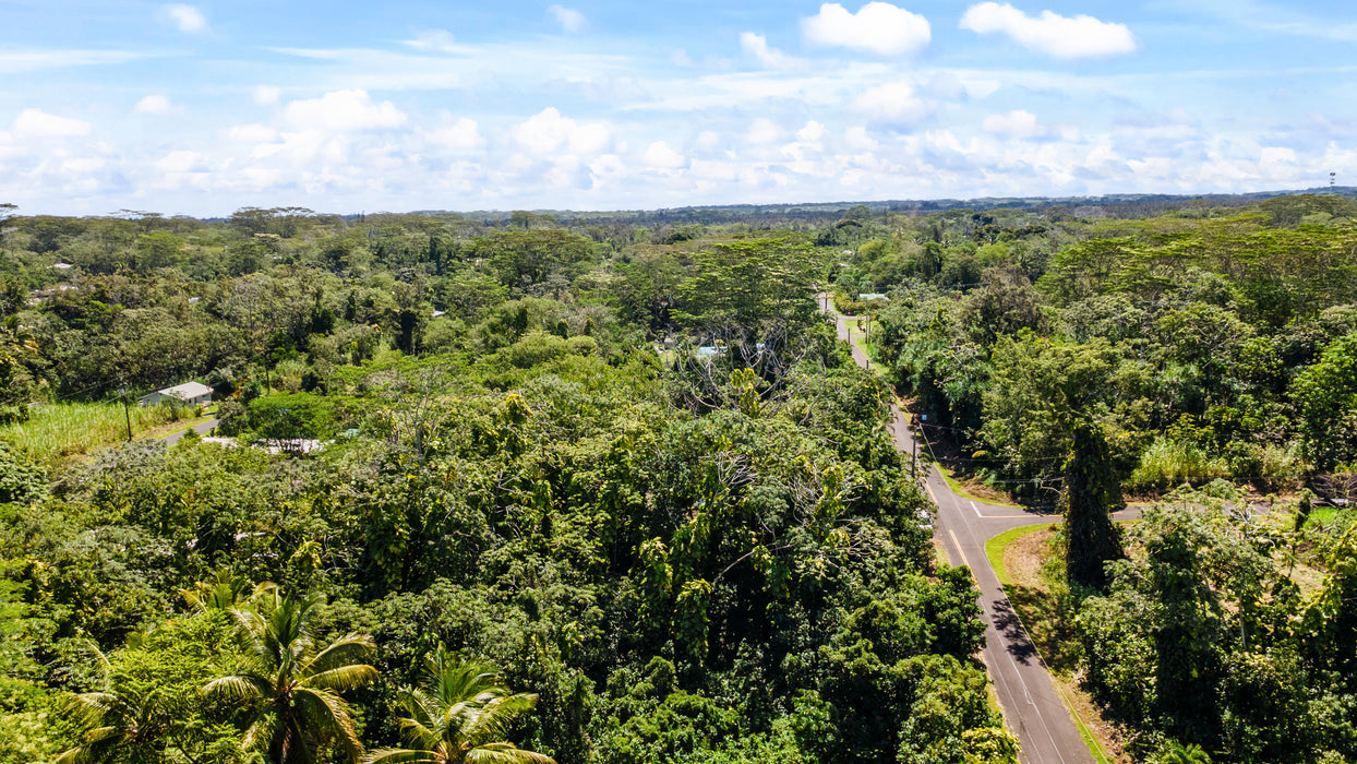 0.28 Pāhoa, Hawaii County, HI (Power, Water, & Paved Road)