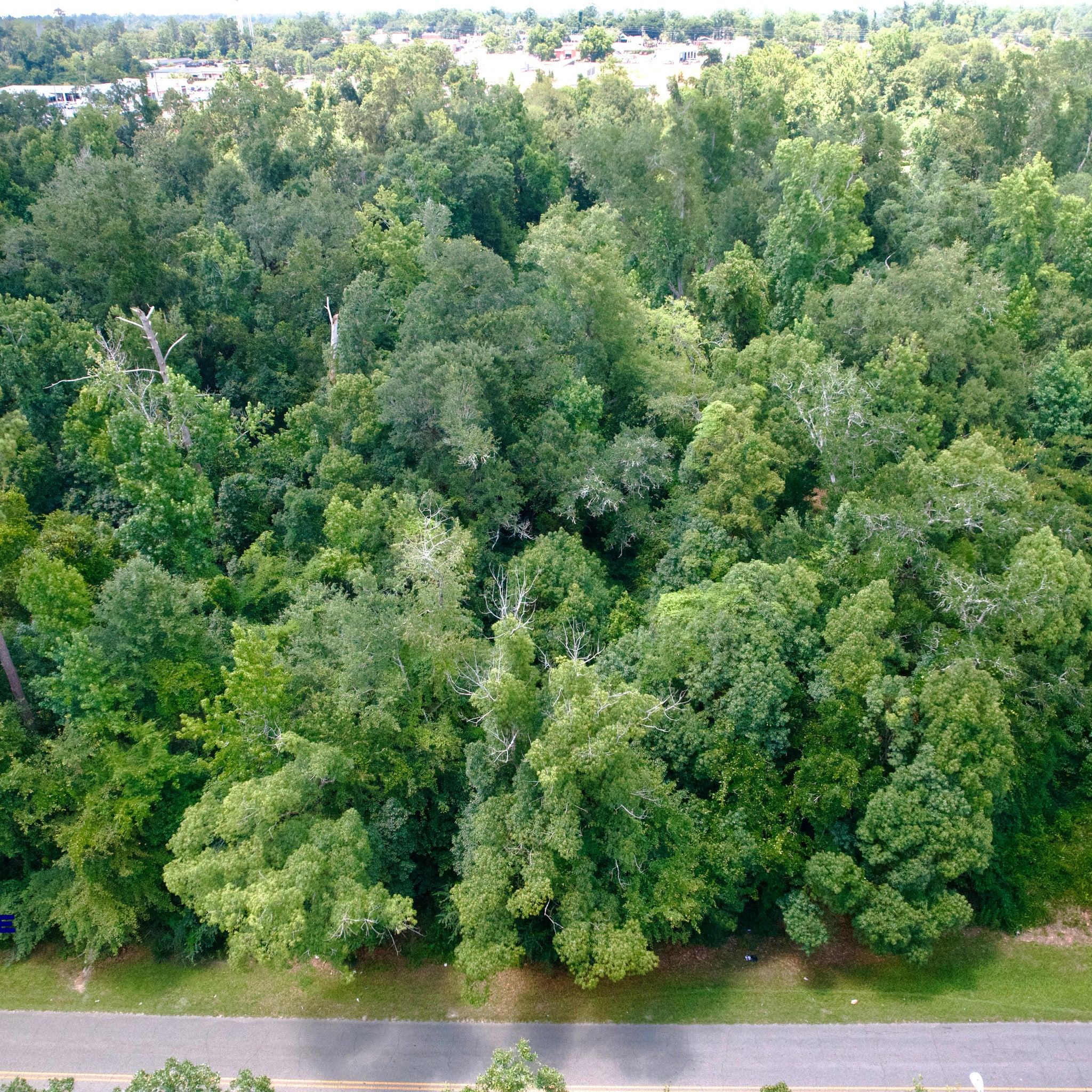 0.51 Acre Marianna, Jackson County, FL (Power, Water, & Paved Road)