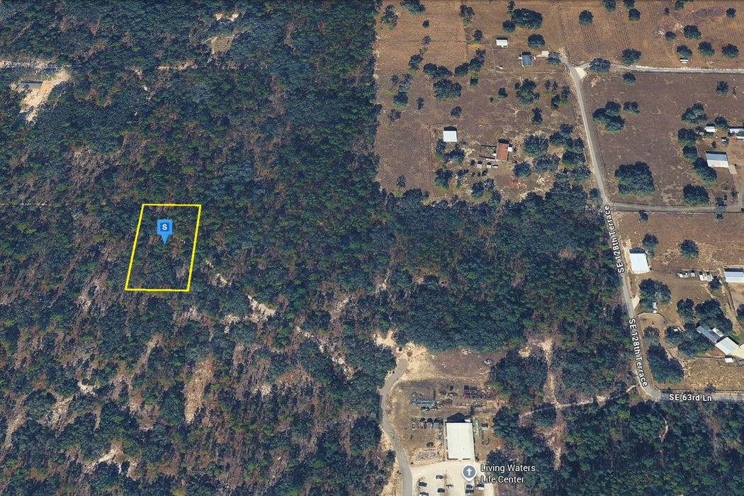 1.25 Acres Morriston, Levy County, FL