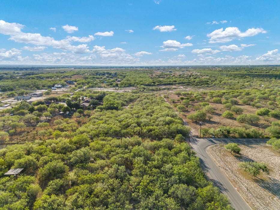 16.26 Acres Rio Grande City, Starr County, TX (Power)