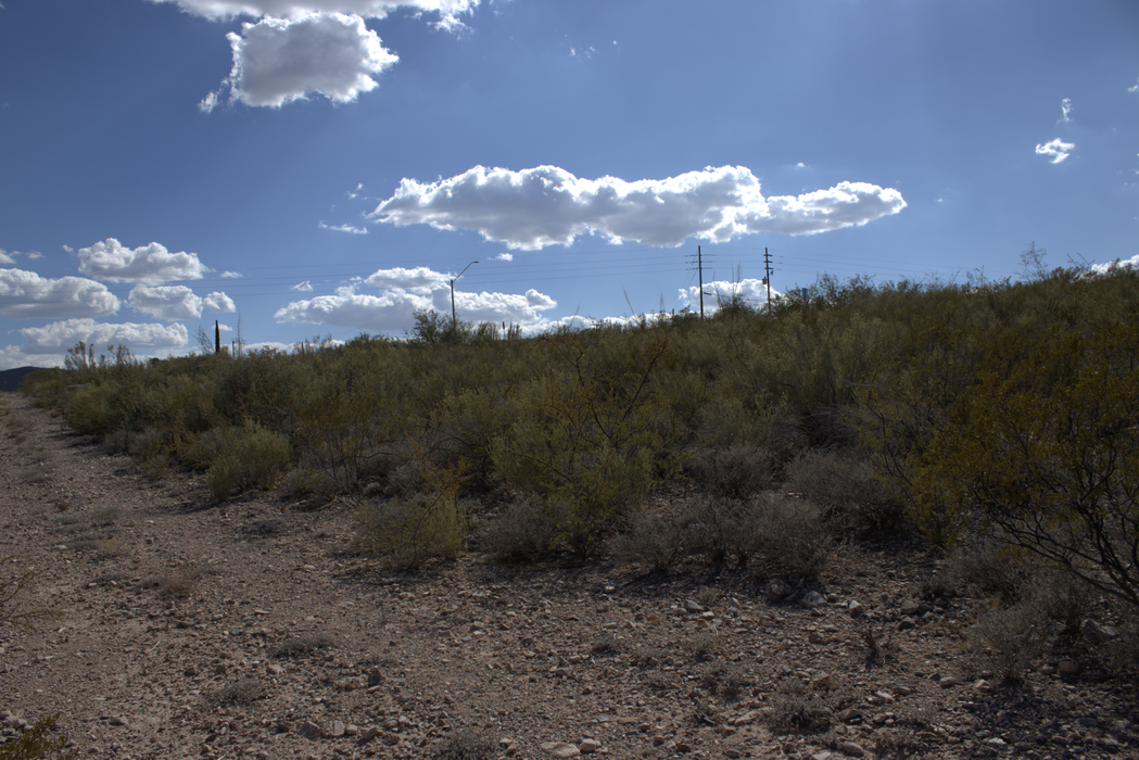 0.31 Acre Tombstone, Cochise County, AZ (Paved Road)
