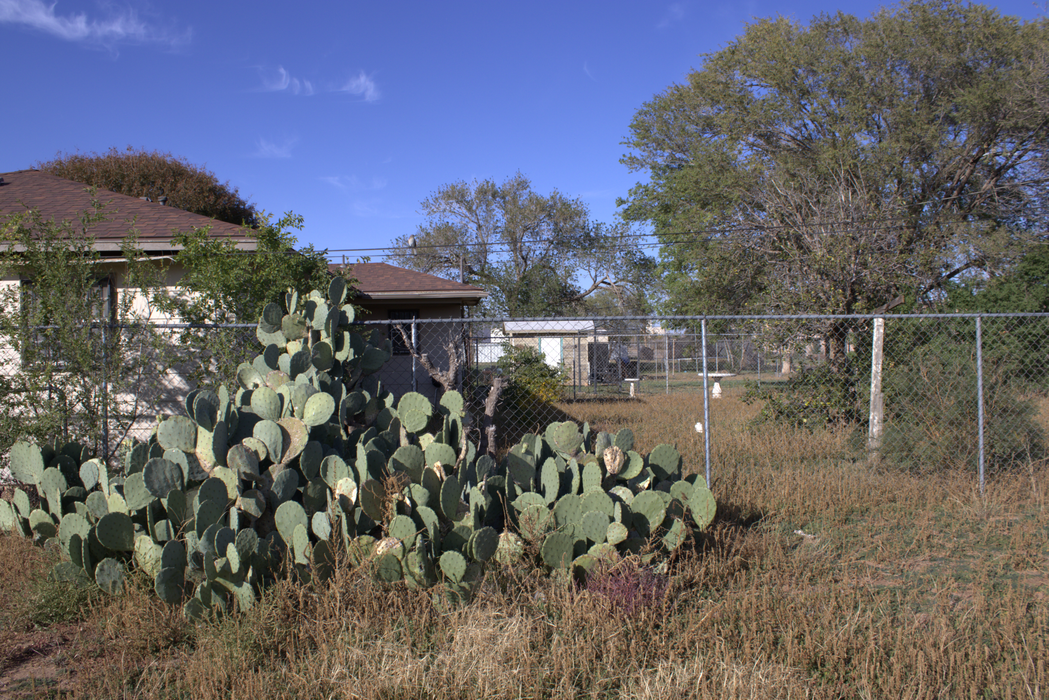 0.14 Acre Lubbock, Lubbock County, TX (Power, Water, & Paved Road)