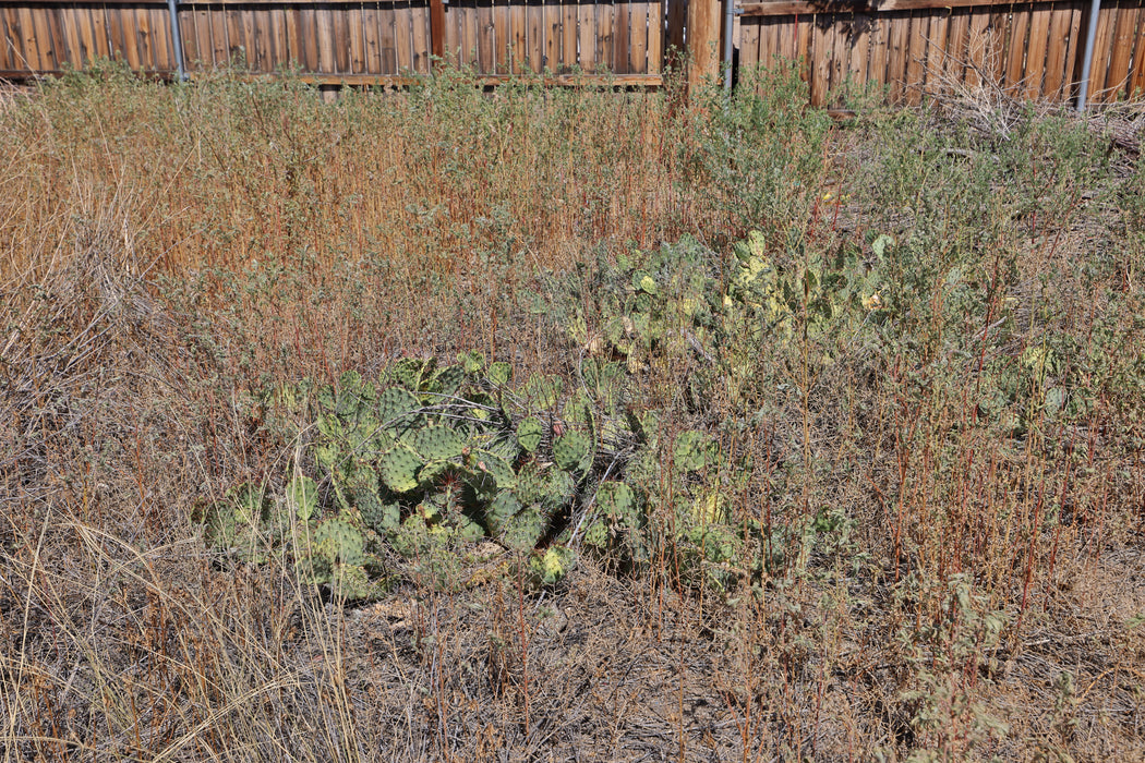 0.68 Acre Pueblo, Pueblo County, CO (Power, Water, & Paved Road)