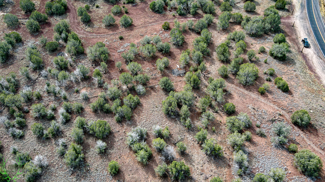 3.24 Acres Williams, Coconino County, AZ (Power & Paved Road)