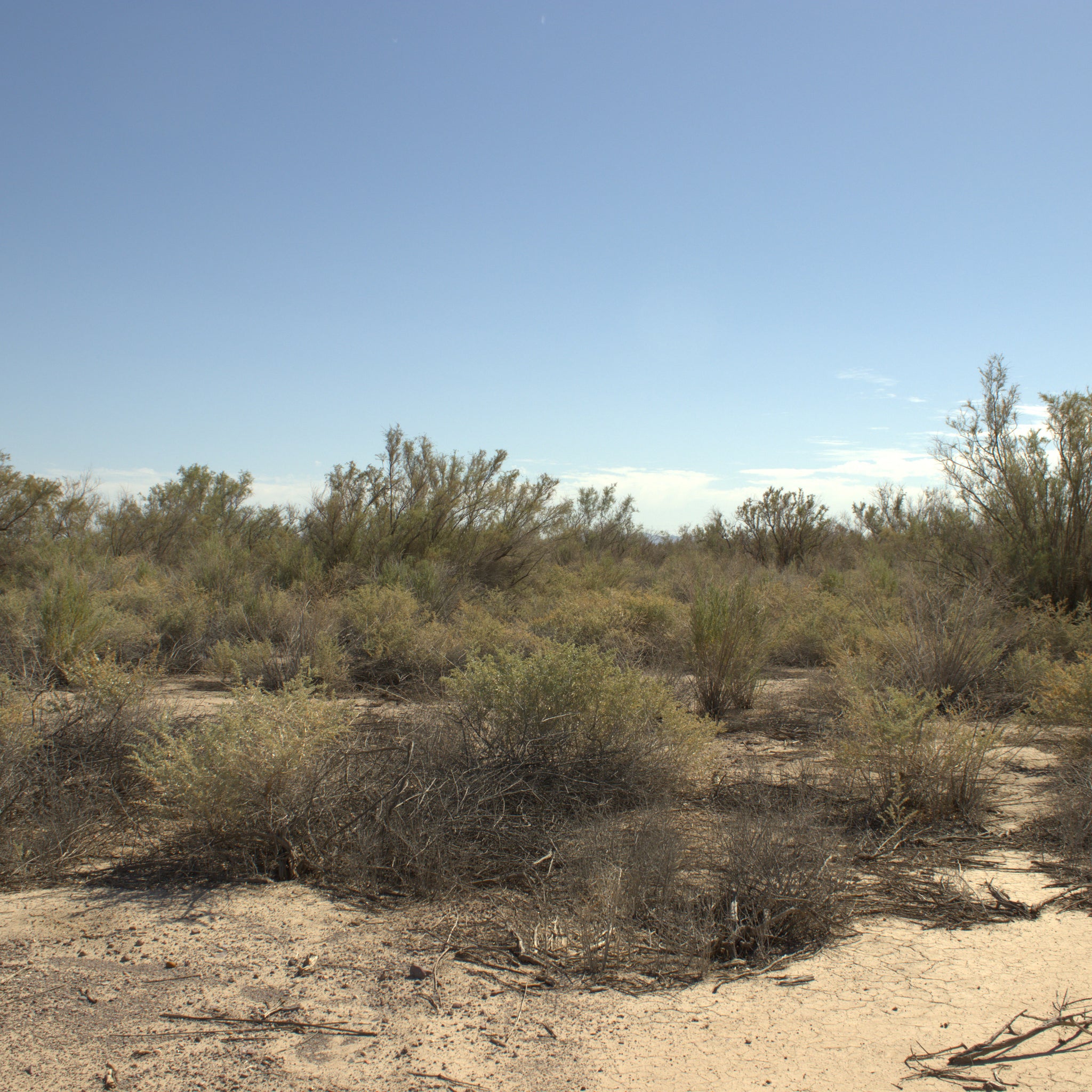 0.32 Acre Mohave Valley, Mohave County, AZ