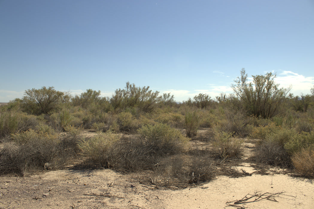 0.32 Acre Mohave Valley, Mohave County, AZ