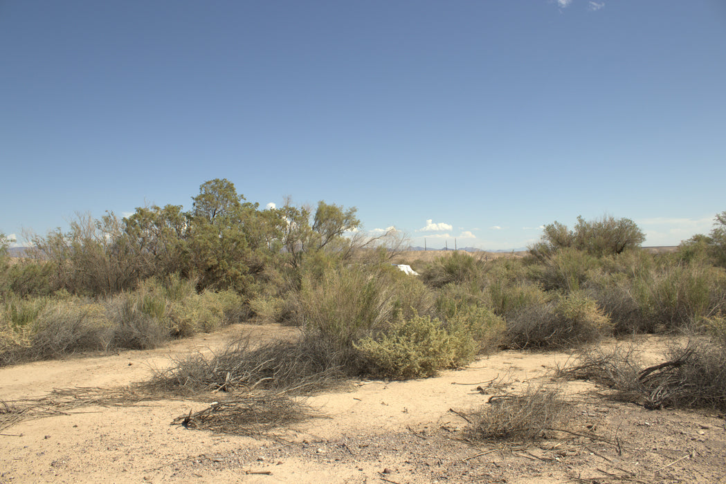 0.32 Acre Mohave Valley, Mohave County, AZ