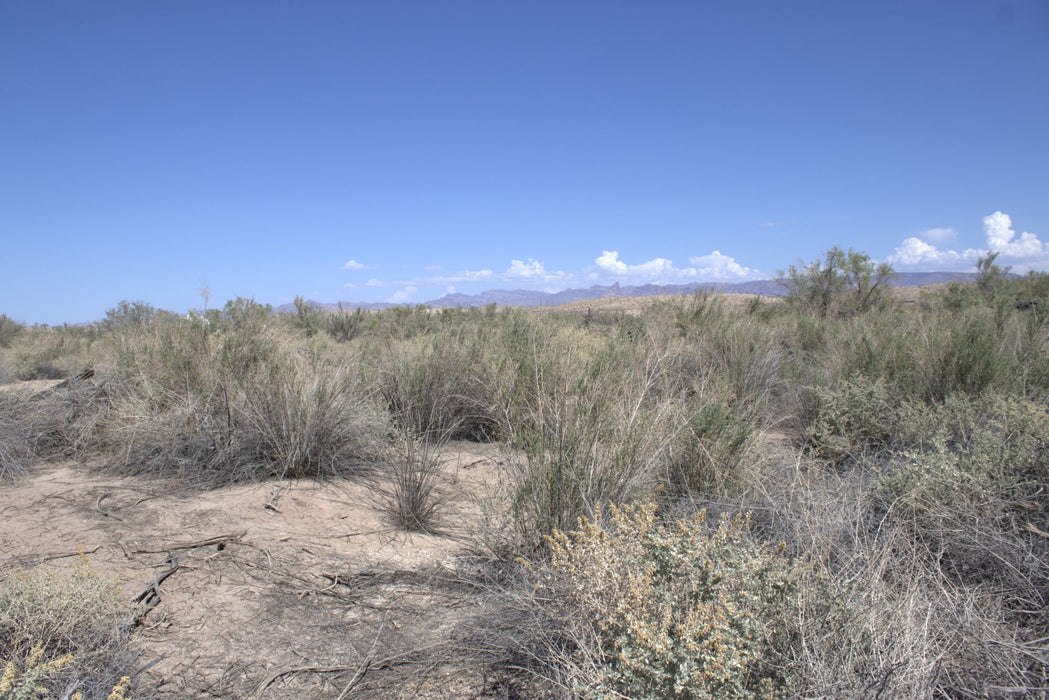 0.15 Acre Mohave Valley, Mohave County, AZ