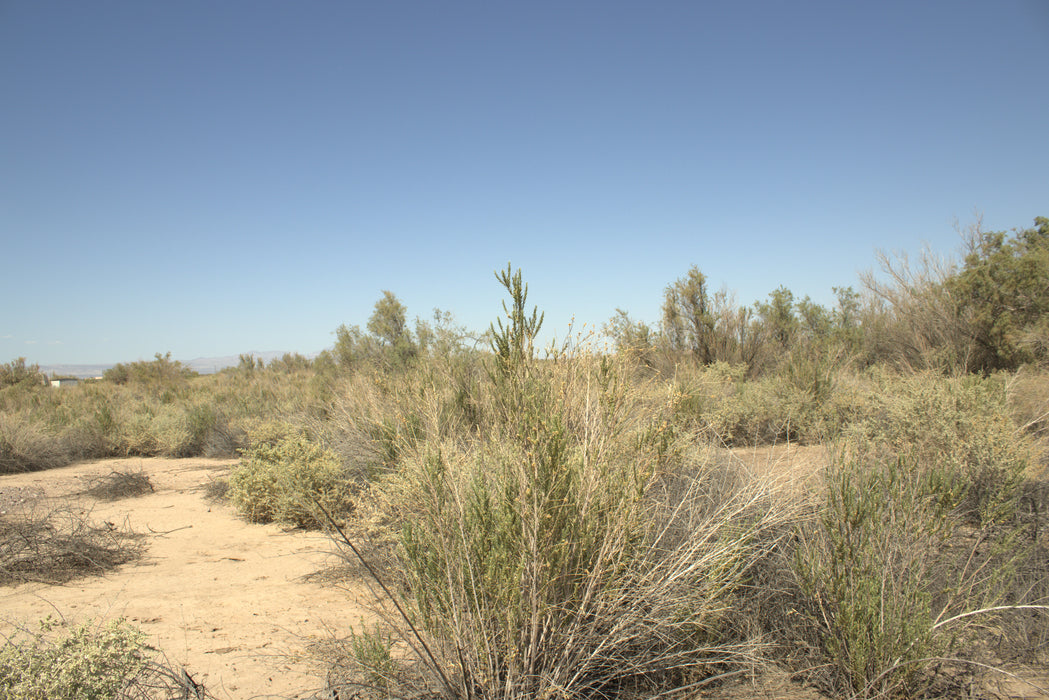 0.32 Acre Mohave Valley, Mohave County, AZ