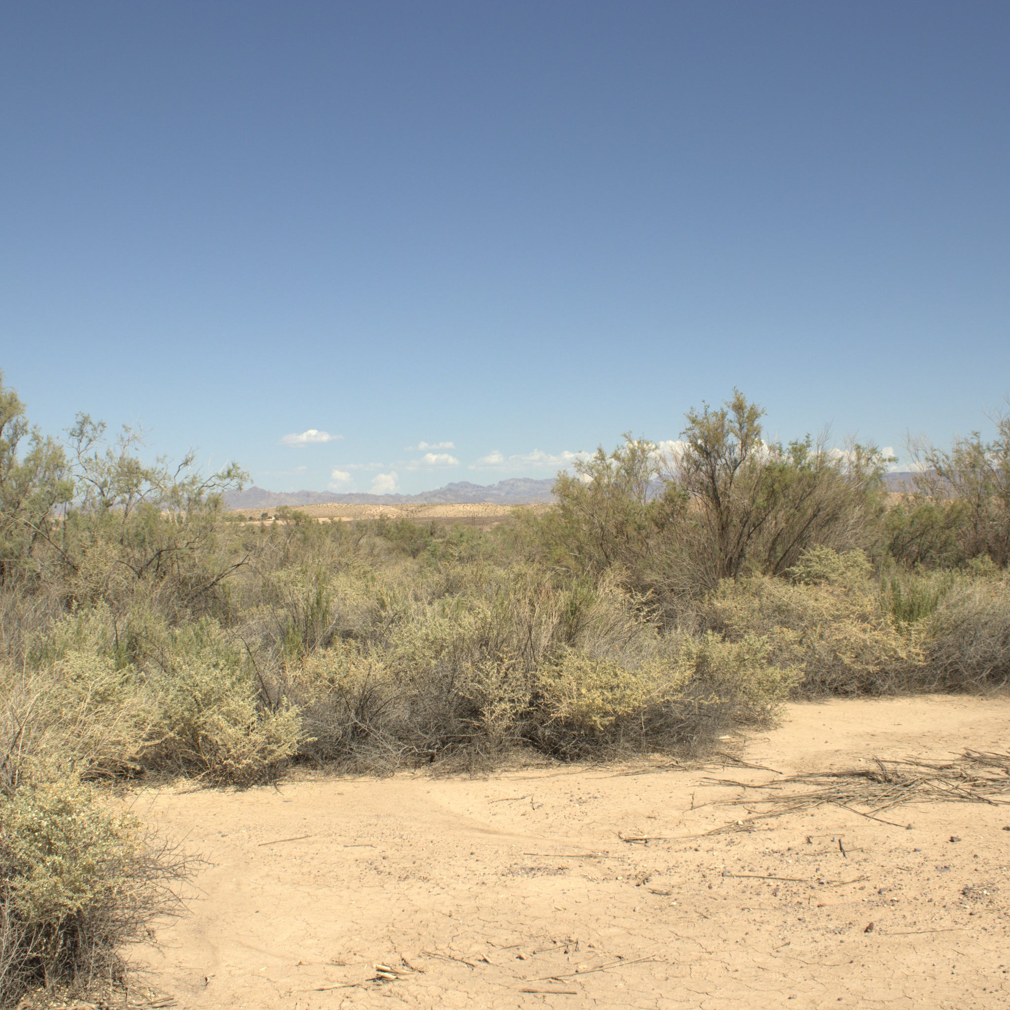 0.32 Acre Mohave Valley, Mohave County, AZ