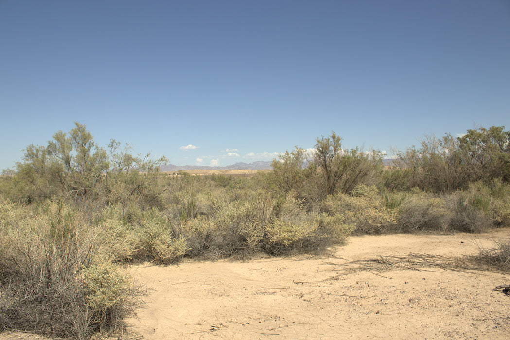 0.32 Acre Mohave Valley, Mohave County, AZ