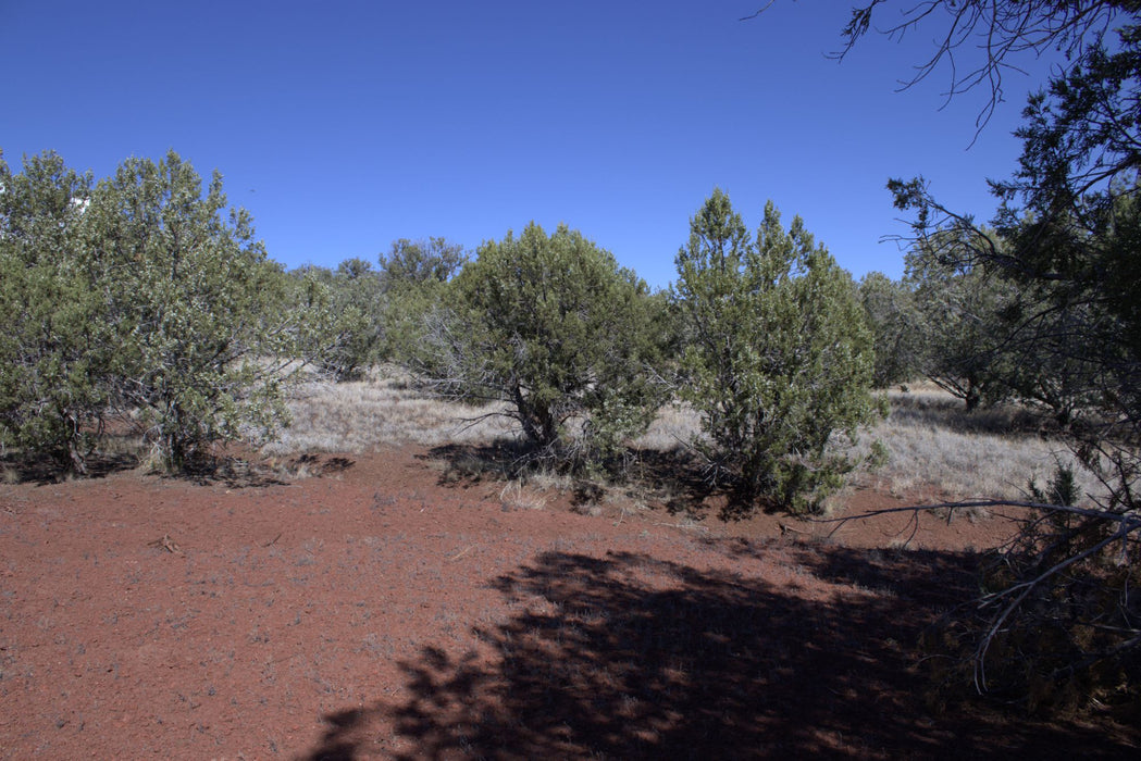 2.28 Acres Williams, Coconino County, AZ