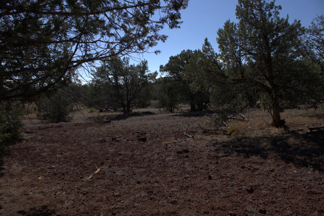 2.28 Acres Williams, Coconino County, AZ