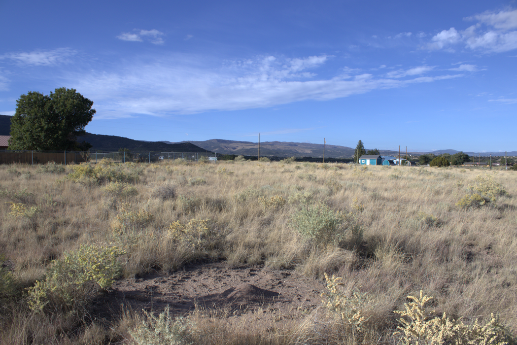 1.01 Acres Springerville, Apache County, AZ (Power)