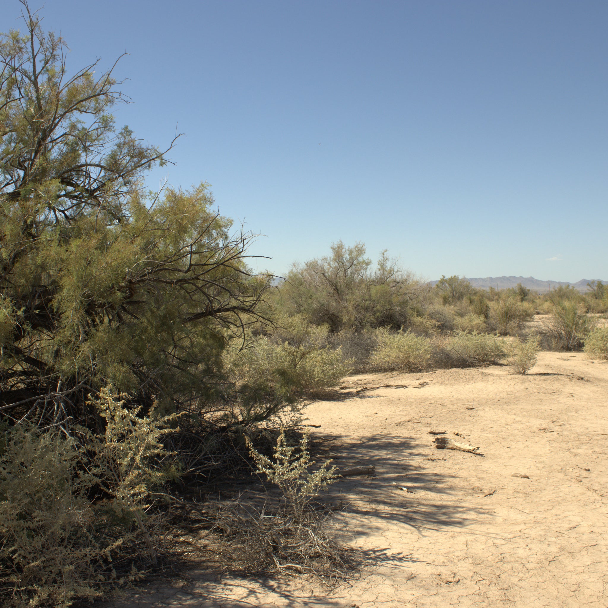 0.32 Acre Mohave Valley, Mohave County, AZ