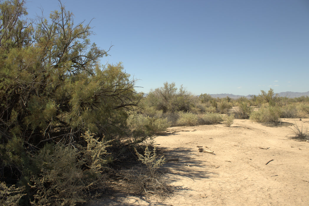 0.32 Acre Mohave Valley, Mohave County, AZ