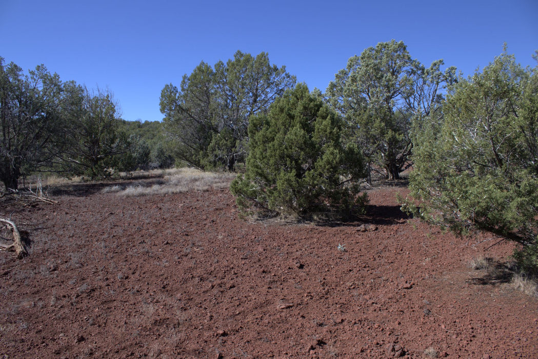 2.28 Acres Williams, Coconino County, AZ