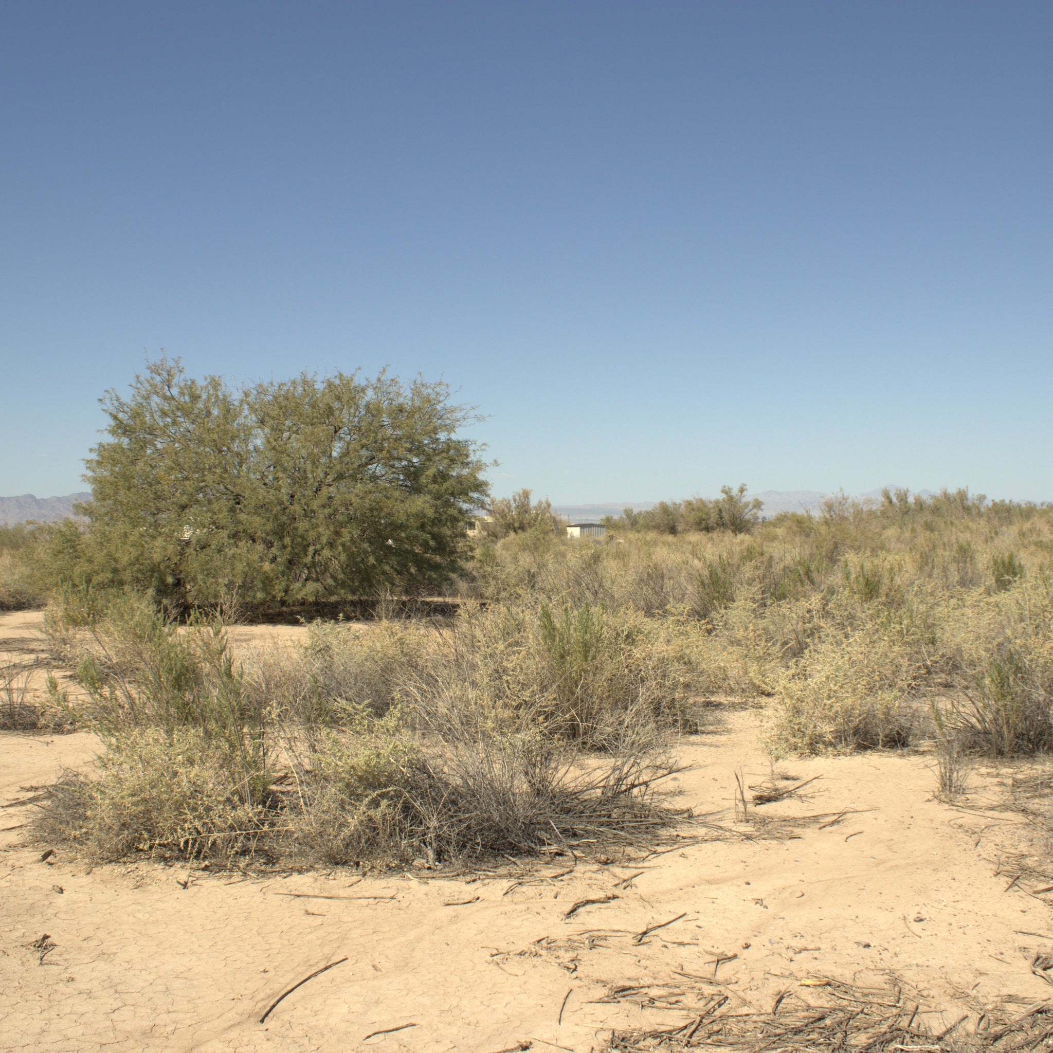 0.32 Acre Mohave Valley, Mohave County, AZ
