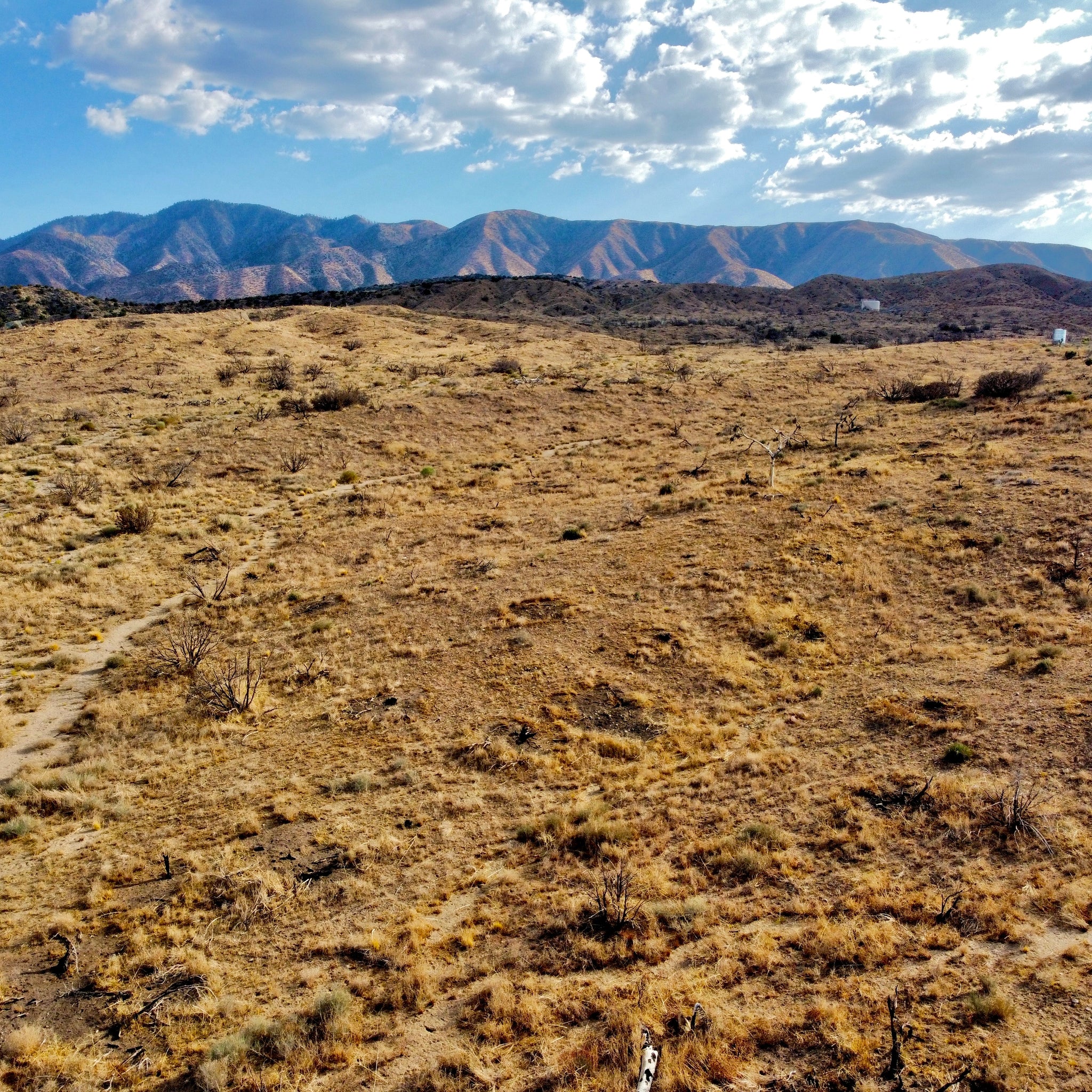 81.11 Acres Juniper Hills, Los Angeles County, CA (Paved Road)