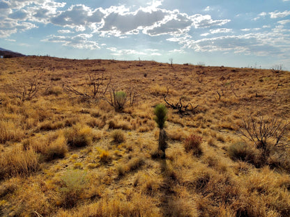 81.11 Acres Juniper Hills, Los Angeles County, CA (Paved Road)