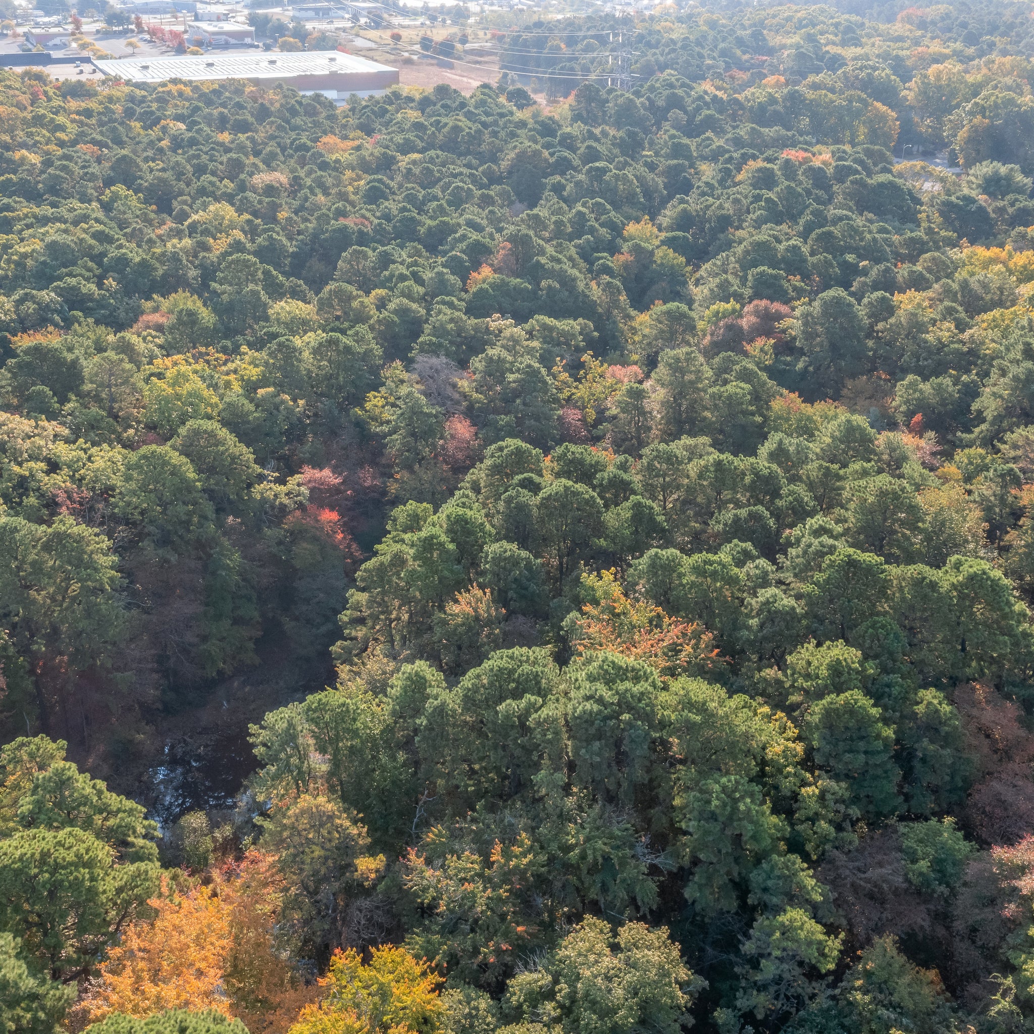 14.94 Acres Voorhees, Camden County, NJ (Power, Water, & Paved Road)