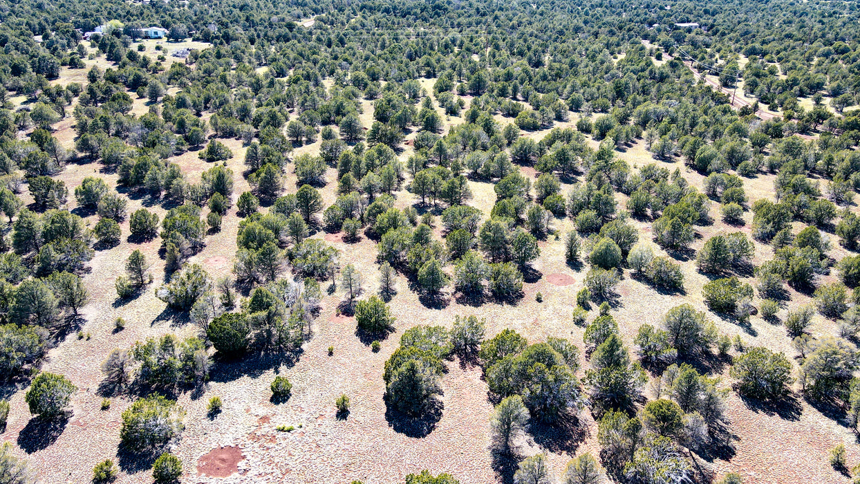 10 Acres Williams, Coconino County, AZ (Power)