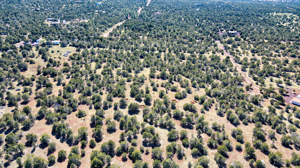 10 Acres Williams, Coconino County, AZ (Power)