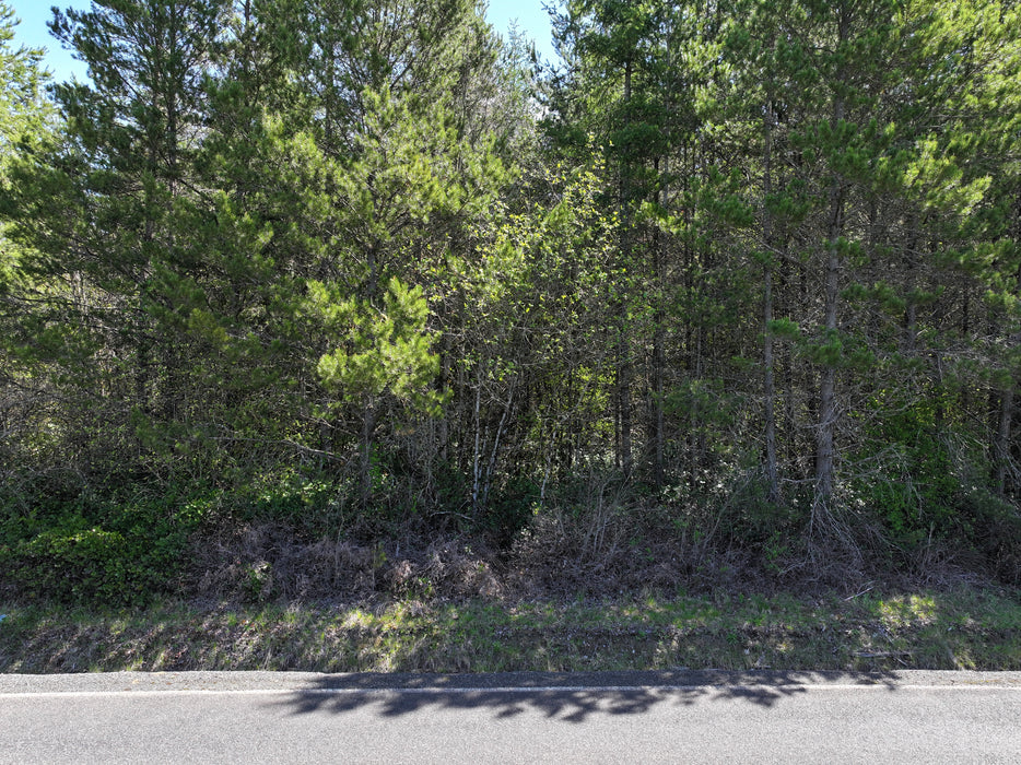 12.85 Acres Toledo, Lewis County, WA (Power, Water, & Paved Road)