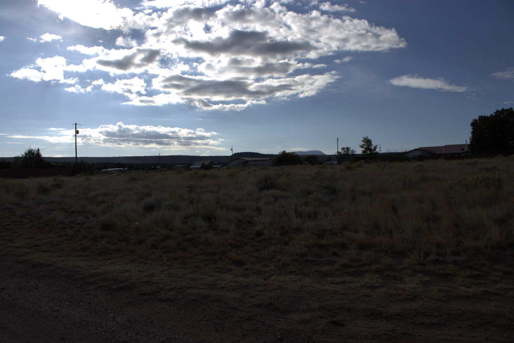 1.01 Acres Springerville, Apache County, AZ (Power)