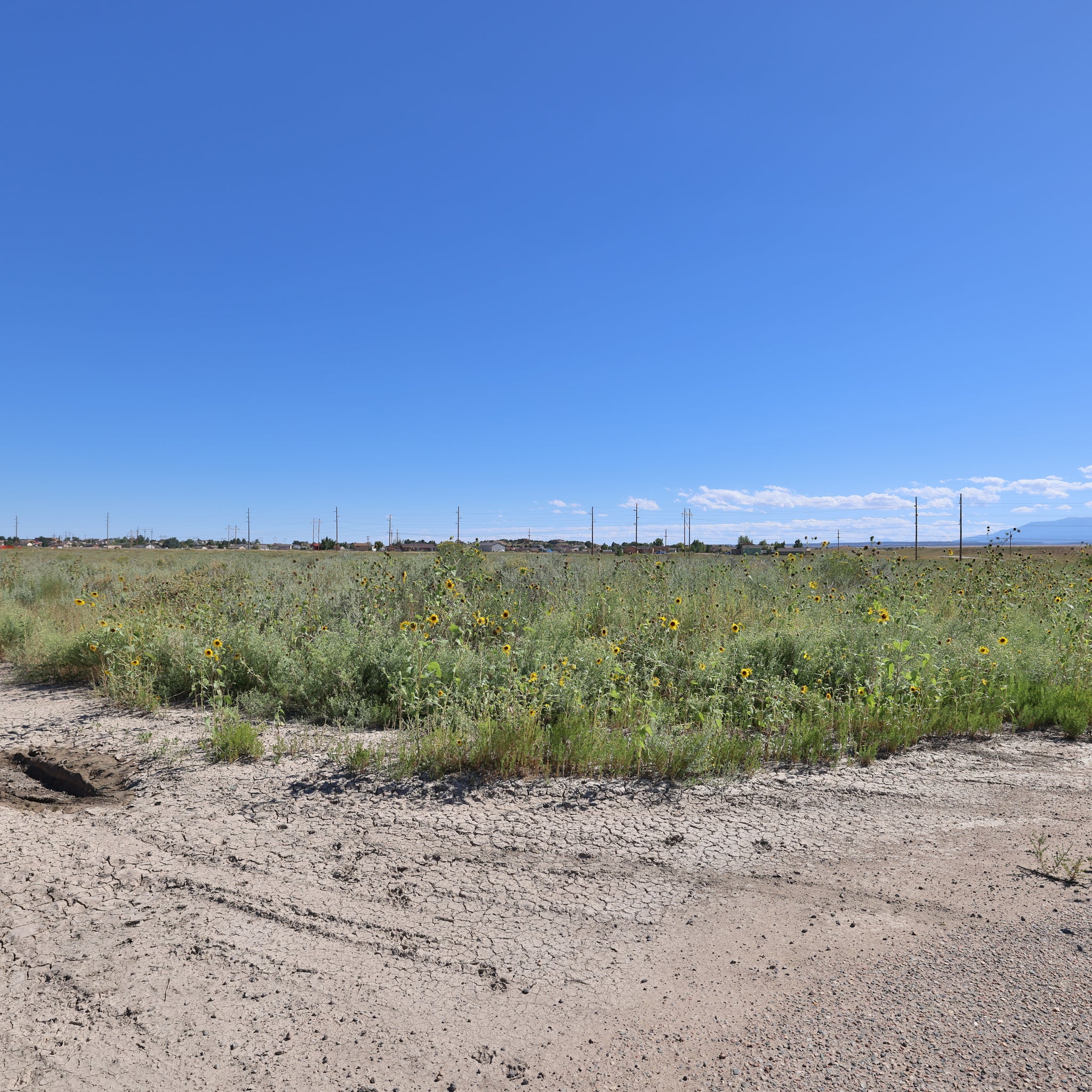 0.43 Acre Pueblo, Pueblo County, CO (Commercial Lot & Paved Road)