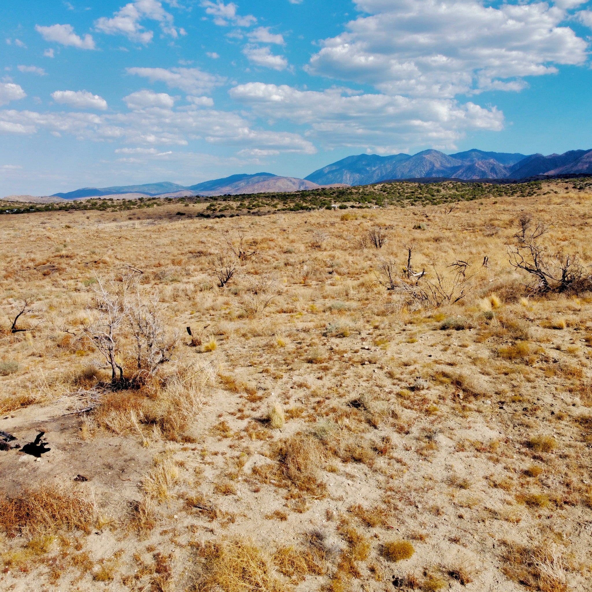 81.11 Acres Juniper Hills, Los Angeles County, CA (Paved Road)