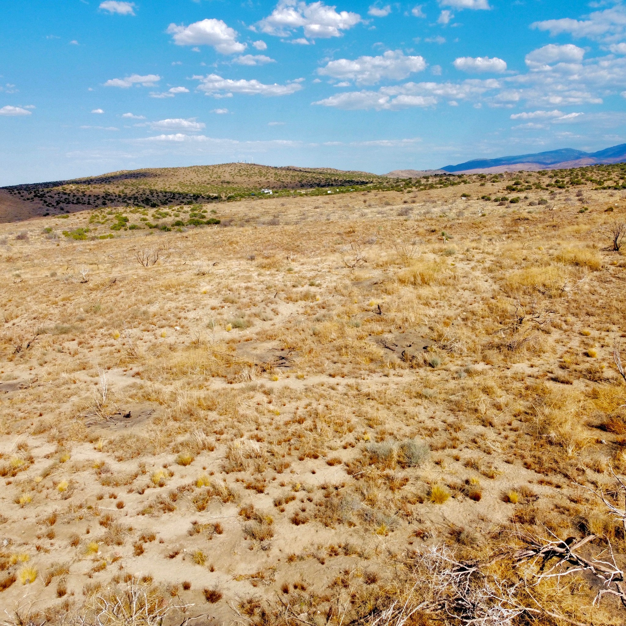 81.11 Acres Juniper Hills, Los Angeles County, CA (Paved Road)