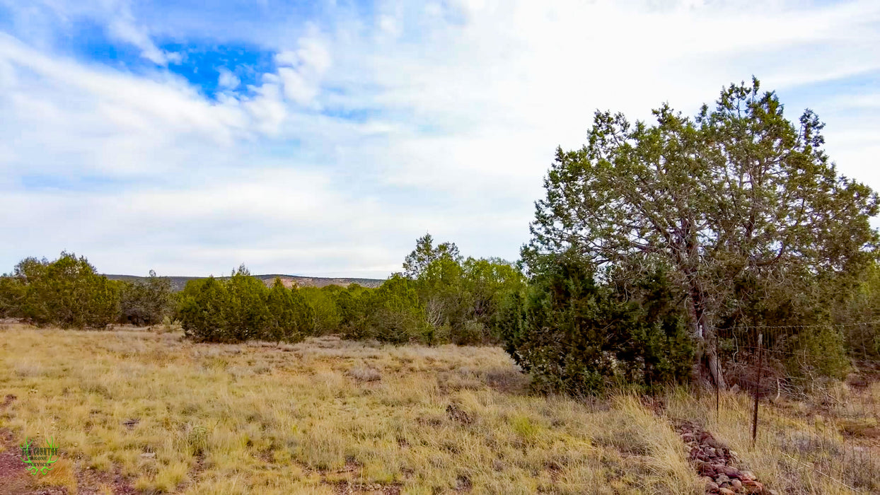 3.24 Acres Williams, Coconino County, AZ (Power & Paved Road)