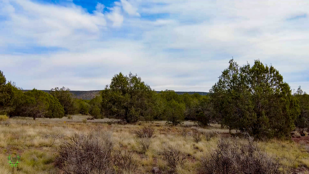 3.24 Acres Williams, Coconino County, AZ (Power & Paved Road)