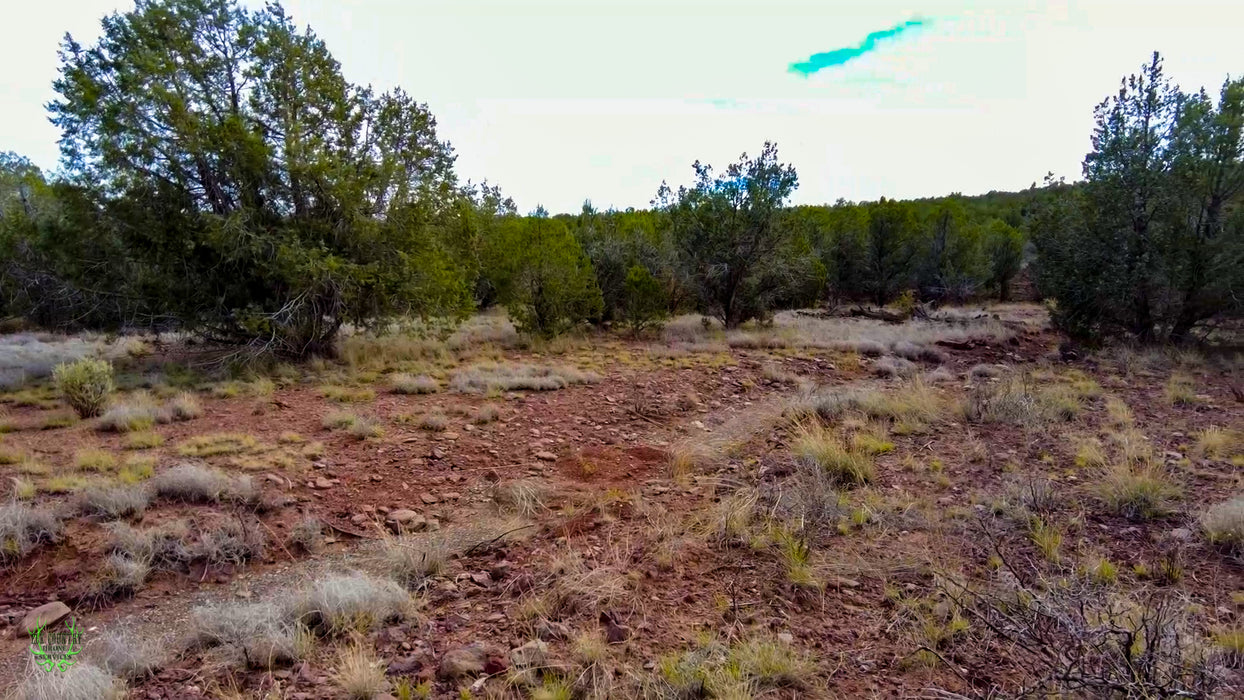 3.24 Acres Williams, Coconino County, AZ (Power & Paved Road)