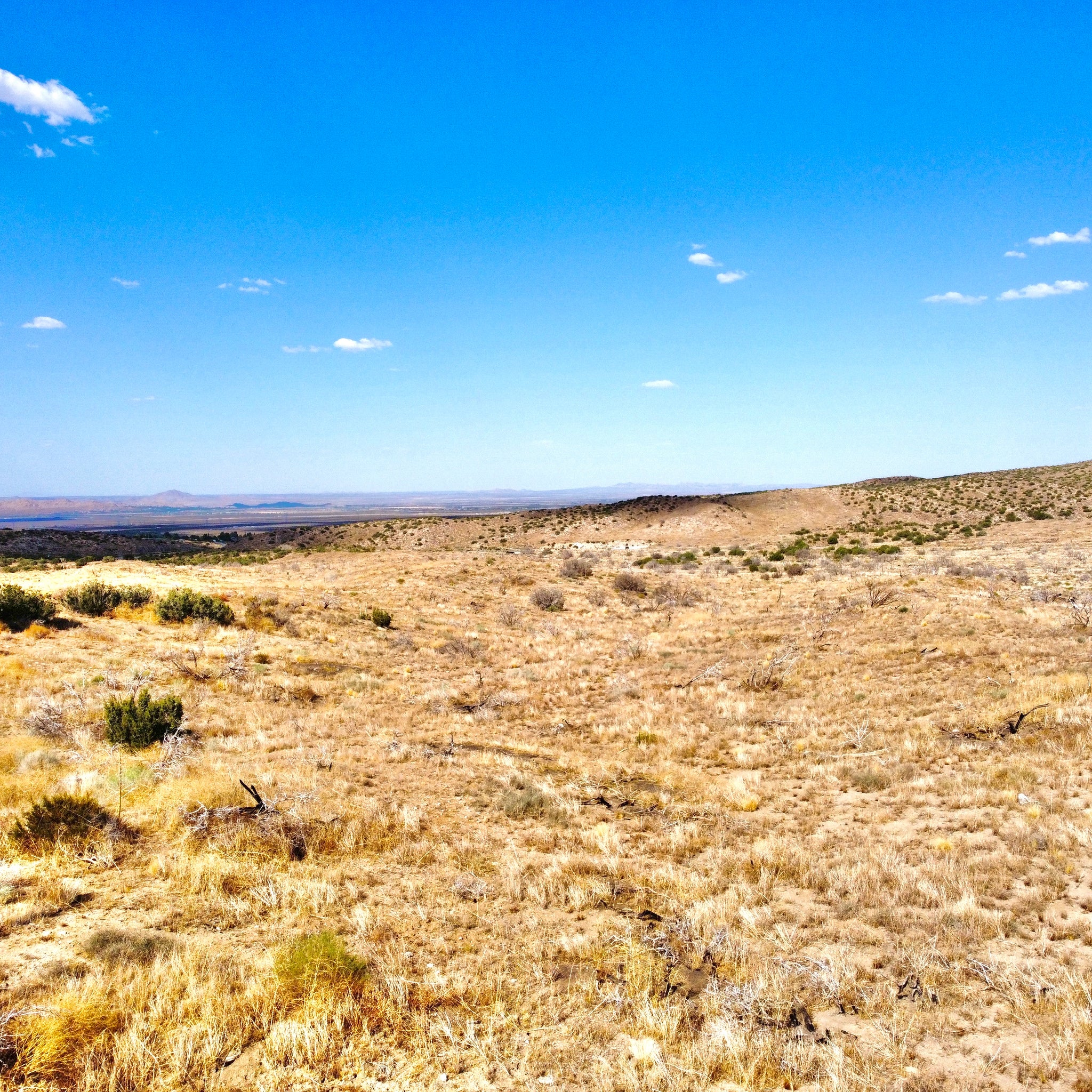 81.11 Acres Juniper Hills, Los Angeles County, CA (Paved Road)