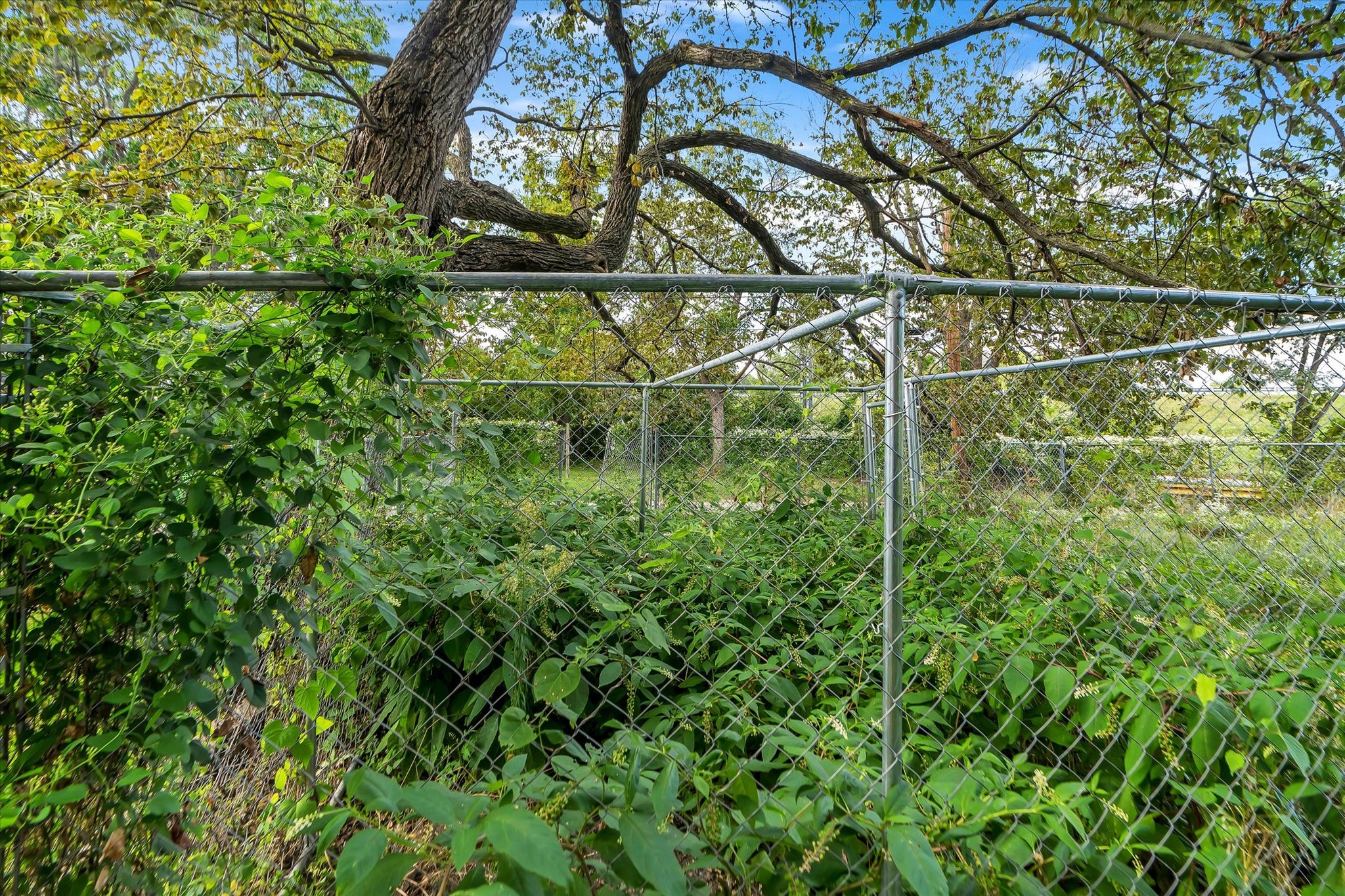 0.23 Acre Saint Louis, Saint Louis City County, MO (Power, Water, & Paved Road)