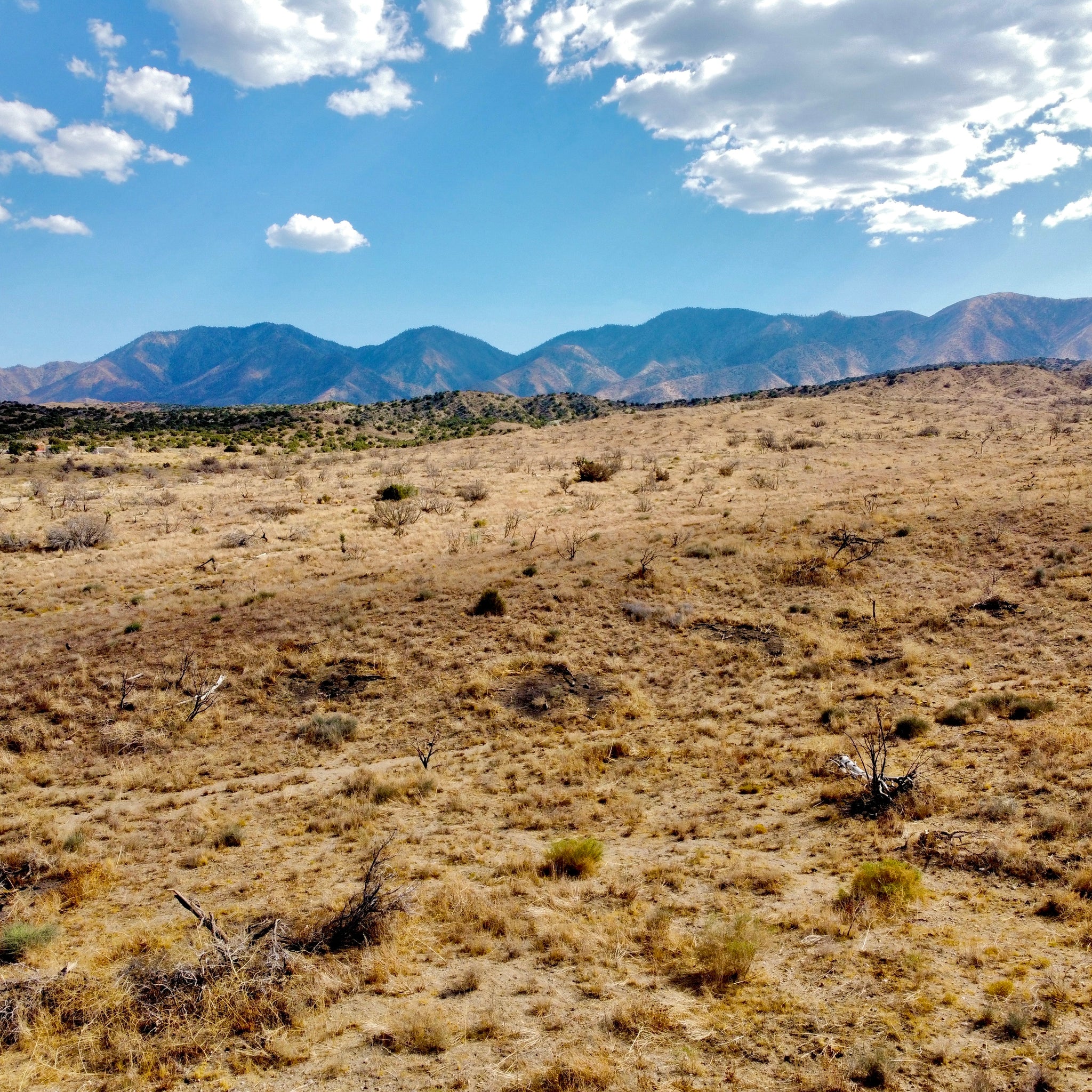 81.11 Acres Juniper Hills, Los Angeles County, CA (Paved Road)